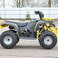 Квадроцикл IRBIS ATV125