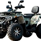 Квадроцикл YAMAHA REPLIKA Shark 300cc