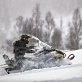 Снегоход AODES Snowcross 1000 WT 508mm LCD 10.25