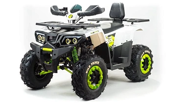 Квадроцикл PROMAX WILD 300 LUX