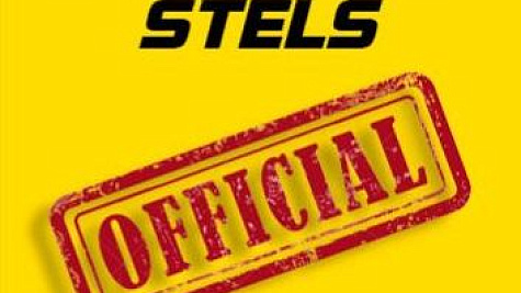 Сертификат дилера STELS
