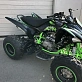 Квадроцикл PROMAX RAPTOR 320 Monster