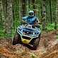 Квадроцикл Русская механика РМ DUO EPS