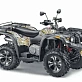 Квадроцикл STELS  ATV 650 YS EFI LEOPARD