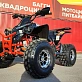 Квадроцикл PROMAX SPAWN 190 PRO (LIMITED EDITION)