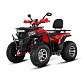 Квадроцикл WHITE SIBERIA BARS 200CC PRO