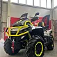 Квадроцикл AODES Pathcross ATV1000L MUD PRO EPS XE 2025г.