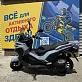 МаксиСкутер PROMAX ADV 2 Серый