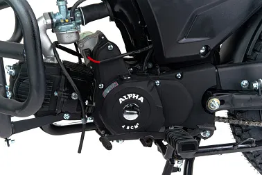 Мопед EX-MOTO ALPHA (Альфа) RS 125 (49) LUX